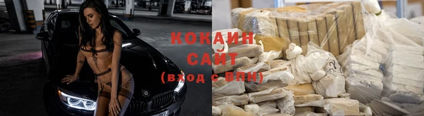 ГАЛЛЮЦИНОГЕННЫЕ ГРИБЫ Лагань