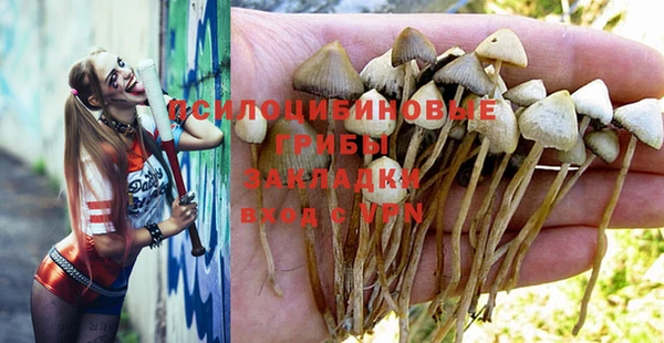 дживик Кукмор