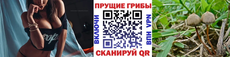 Псилоцибиновые грибы MAGIC MUSHROOMS Ликино-Дулёво