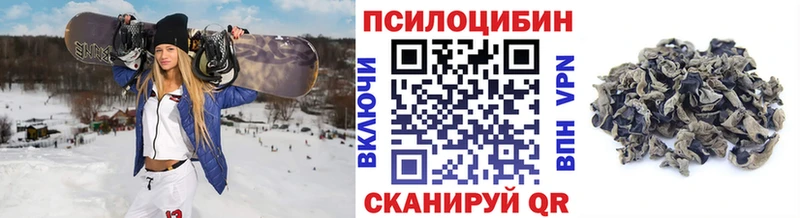 Купить где  Ликино-Дулёво  Псилоцибиновые грибы ЛСД 